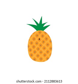 pineapple logo stock illustration design