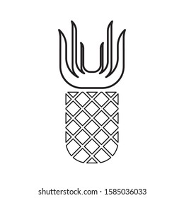 Pineapple logo template vector fruit icon design