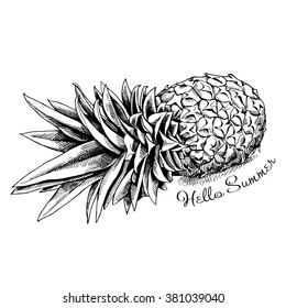 Pineapple lying on her side. Vector black and white illustration.