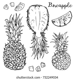 Pineapple, mini-pineapple Phuket. Fruits drawn by a line on a white background. Fruits from Thailand. Food sketch lines.