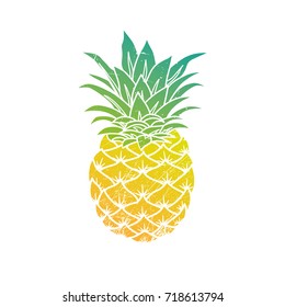 Pineapple modern illustration