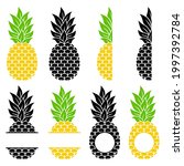 Pineapple monogram. Collection of juicy tropical fruits. Vector illustration. Flat style. Hand-drawn. Isolated on white background. Decorative pineapples for your design.