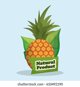 pineapple natural product market label vector illustration eps 10