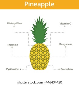 pineapple nutrient of facts and health benefits, info graphic fruit, food vector