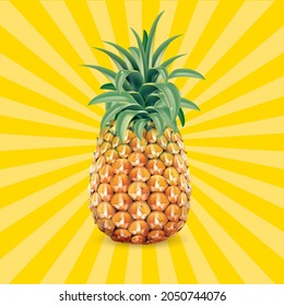 pineapple on graphic background.illustration vector