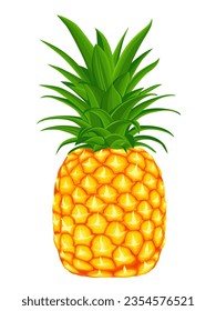 pineapple on a white background