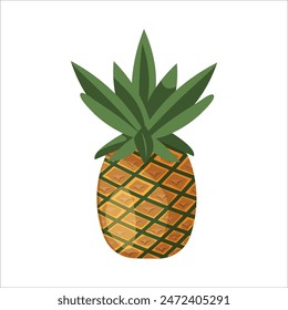 Pineapple on white background. Exotic fruit ananas. Summer fruits. Hand drawn vector illustration