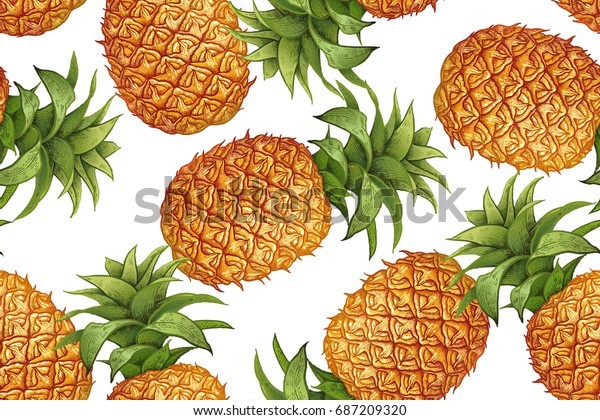 image vectorielle de stock de ananas sur fond blanc motif botanique 687209320
