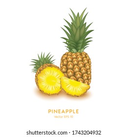 Pineapple on white background. Tropical healthy tasty fruit, sweet ananas. Healthy food concept. Organic fresh gourmet pineapple. illustration Vector 