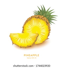 Pineapple on white background. Tropical healthy tasty fruit, sweet ananas. Healthy food concept. Organic fresh gourmet pineapple. illustration Vector 