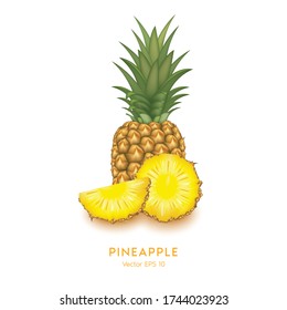 Pineapple on white background. Tropical healthy tasty fruit, sweet ananas. Healthy food concept. Organic fresh gourmet pineapple. illustration Vector 