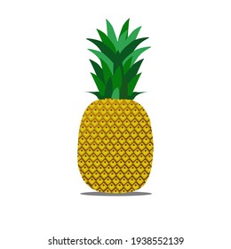 Pineapple on white background vector illustration