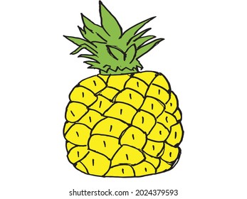 Pineapple on white background vector illustration