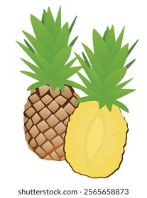 Pineapple on white background. vector