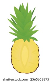 Pineapple on white background. vector