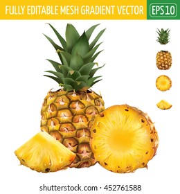 Pineapple on white background. Vector illustration