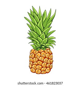 Pineapple on a white background. Vector illustration.