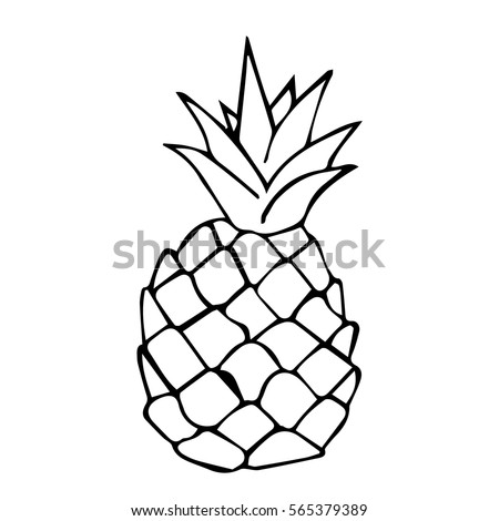Pineapple On White Background Vector Illustration Cloth Design Wallpaper Wrapping Textiles Pineapple On White Background Vector Illustration Cloth Design Wallpaper Wrapping Textiles
