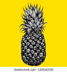 pineapple on yellow background,hand draw