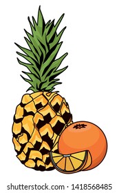 Pineapple and orange citric fruit sliced vector illustration graphic design