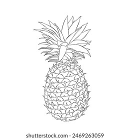 Pineapple outline hand drawn vector illustration on white backgroung