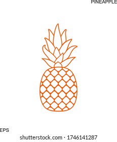 Pineapple outline. Isolated pineapple on white background