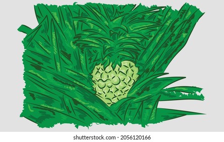 pineapple painting illustration. background vector