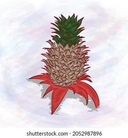 Pineapple painting illustration. vector background