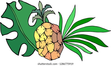 Pineapple and palm leaf. Vector illustration.