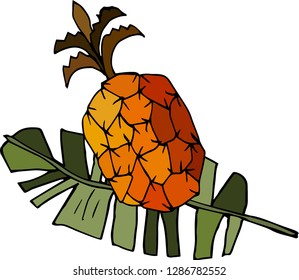  Pineapple and palm leaf. Vector illustration.