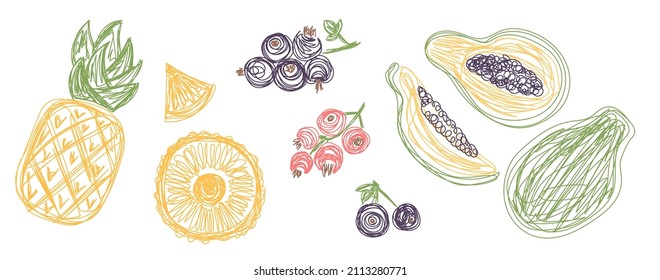 Pineapple, papaya, red and black currant. Fruit bundle. Hand drawn vector illustration. Pen or marker doodle sketch