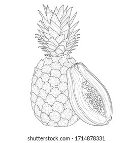 Pineapple and Papaya.Coloring book antistress for children and adults. Zen-tangle style.Black and white drawing