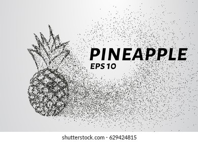Pineapple of particles. Pineapple consists of small circles and dots. Vector illustration.
