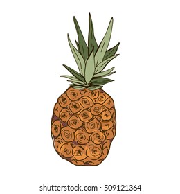 Pineapple  pattern. vector illustration