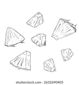Pineapple pieces and slices sketch. Set of ink sketches. Hand drawn vector illustration.