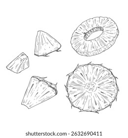 Peças de abacaxi e fatias esboço. Conjunto de esboços a tinta. Ilustração de vetor desenhada à mão.