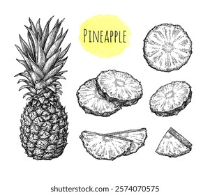 Pineapple pieces and whole fruit. Set of ink sketches. Hand drawn vector illustration. Retro style.