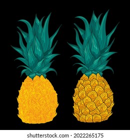 pineapple quilling lines vector illustration