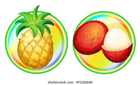 Pineapple and rambutan on round badges illustration