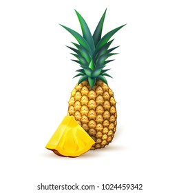 Pineapple realistic fruit with slice. Vector illustration. 3d ripe tropical exotic Juicy fresh food, vitamin healthy dieting. Ananas juice summer vacation organic object, isolated background