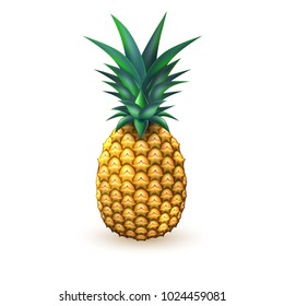 Pineapple realistic fruit. Vector illustration. 3d ripe tropical exotic Juicy fresh food, vitamin healthy dieting. Ananas juice summer vacation organic object, isolated background