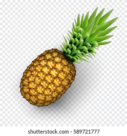 Pineapple realistic image with transparent shadow vector illustration isolated on plaid white background. 3d icon. Design for grocery, culinary products, recipe web site decoration, cooking book.