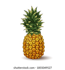 Pineapple. Realistic pineapple isolated on a white background. 