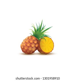 Pineapple realistic summer exotic fruit vector