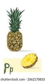 Pineapple realistic vector art. Fruit set. Fresh juicy ananas. Sliced pine, yellow healthy food.
