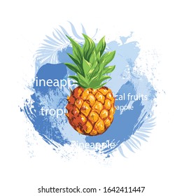 Pineapple ripe tropical fruit on a background of blue watercolor brush strokes. Vector image.