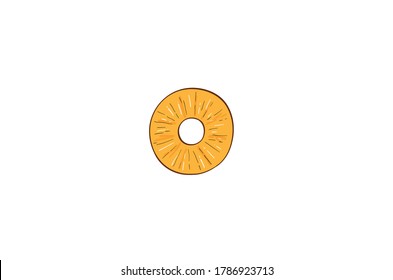 Pineapple round cut slice vector illustration isolated on white background