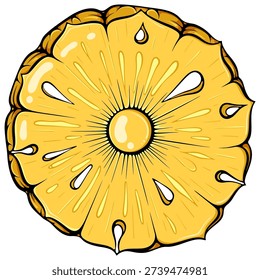 Pineapple round slice close up. Tropical exotic fruit native to South America. Healthy food ingredient. Simple vector color illustration with outline in hand drawn style isolated on white for print