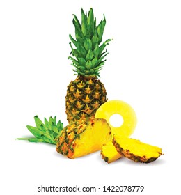 Pineapple Round Slice low poly. Fresh, nutritious and tasty pineapple. Symbols of fruits. Elements for label design. Pineapple in triangulation technique. 