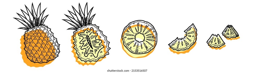 Pineapple set. Abstract modern set of pineapple icons, whole and sliced, isolated on a white background. For Internet, printing, product design, logo. Line, contour. Vector hand-drawn illustration.